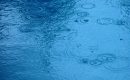 Rain Ripples
